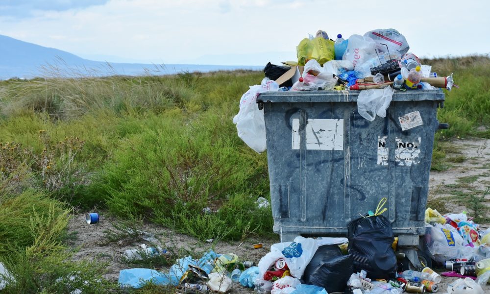 Lugares que se Tomaron En Serio el Medio Ambiente