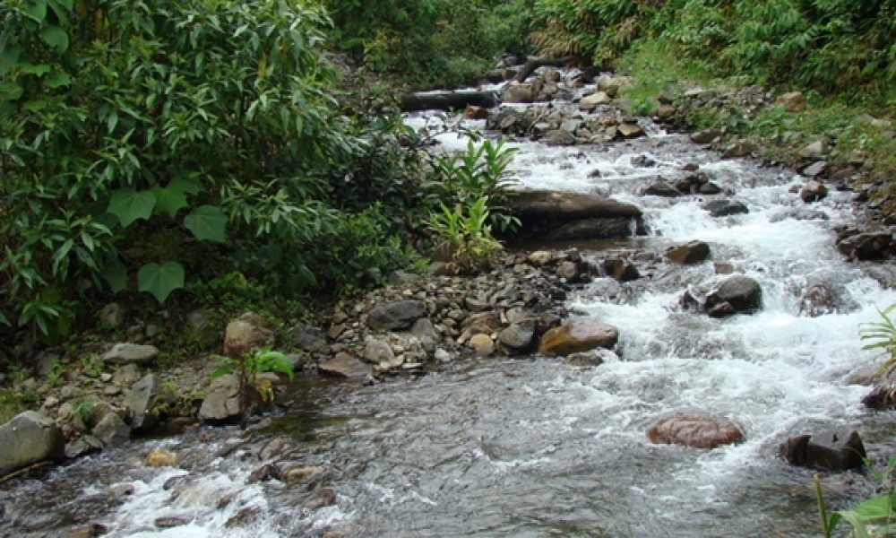 Medidas en el Río Pance: Tome Nota para proteger los ríos del país