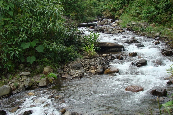 Medidas en el Río Pance: Tome Nota para proteger los ríos del país