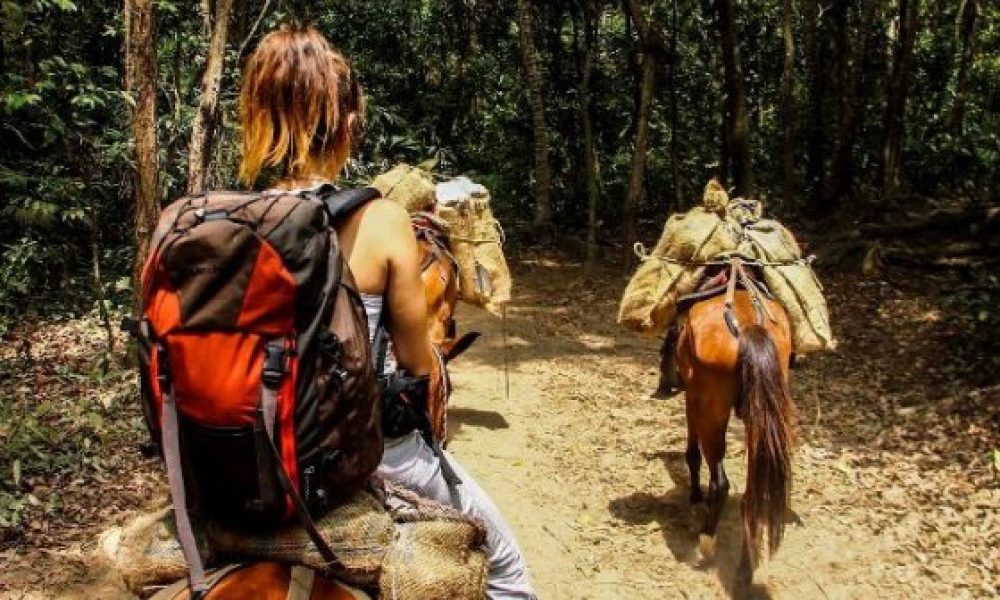 Los caballos del Tayrona ¡POBRES!