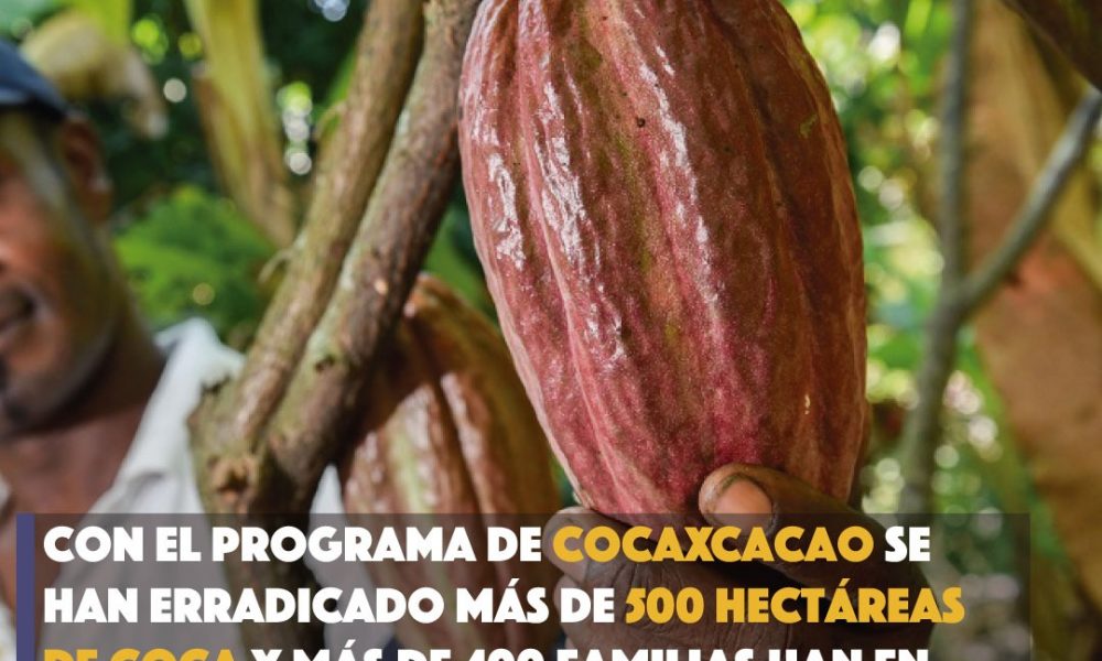 ¡CocaxCacao: un programa del 2012!