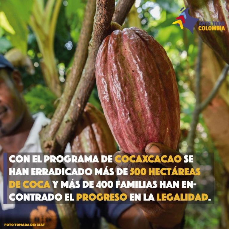 Lee más sobre el artículo ¡CocaxCacao: un programa del 2012!
