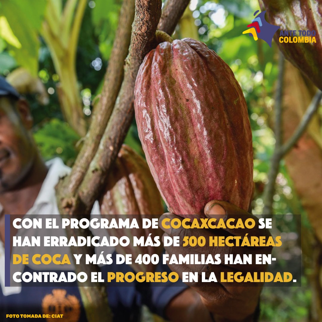 En este momento estás viendo ¡CocaxCacao: un programa del 2012!