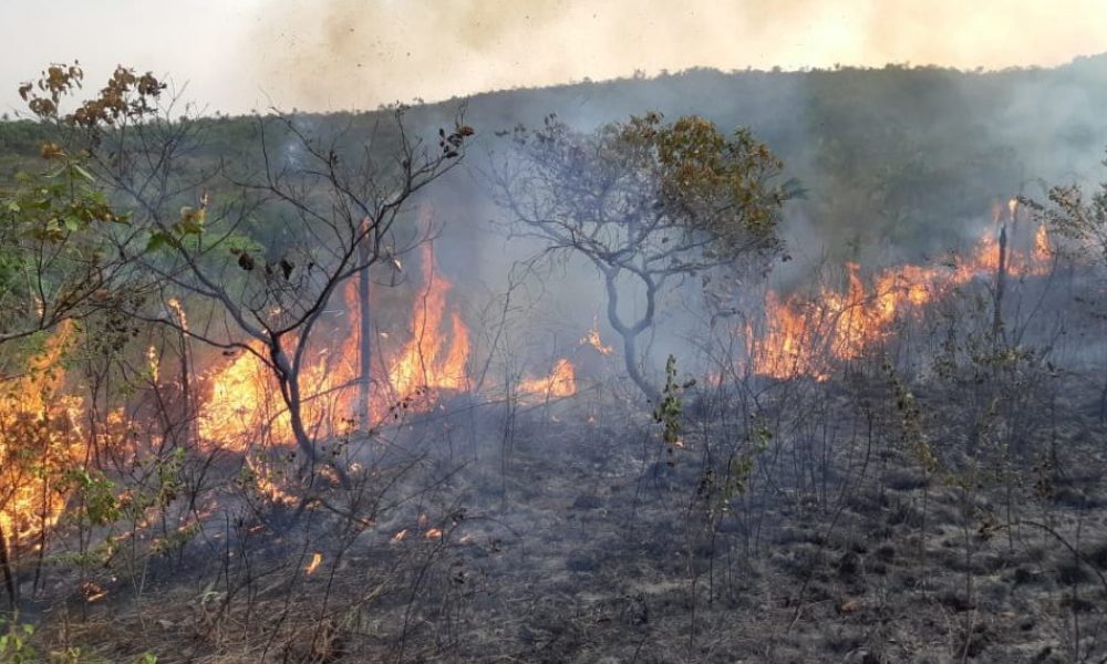 FARC Incendió La Macarena