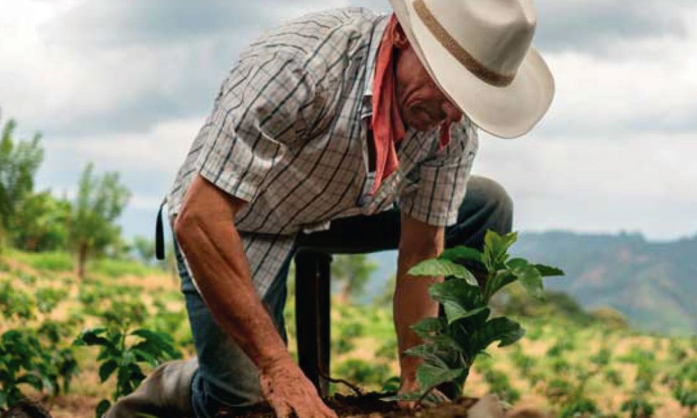 El día del campesino ¿Cómo agradecerles a los nuestros?