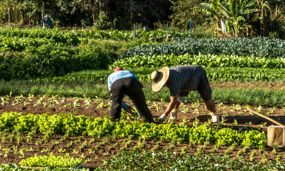 Las empresas siguen generando progreso