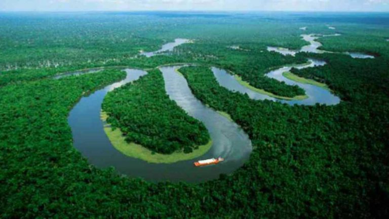 Las economías ilegales están acabando con la Amazonía