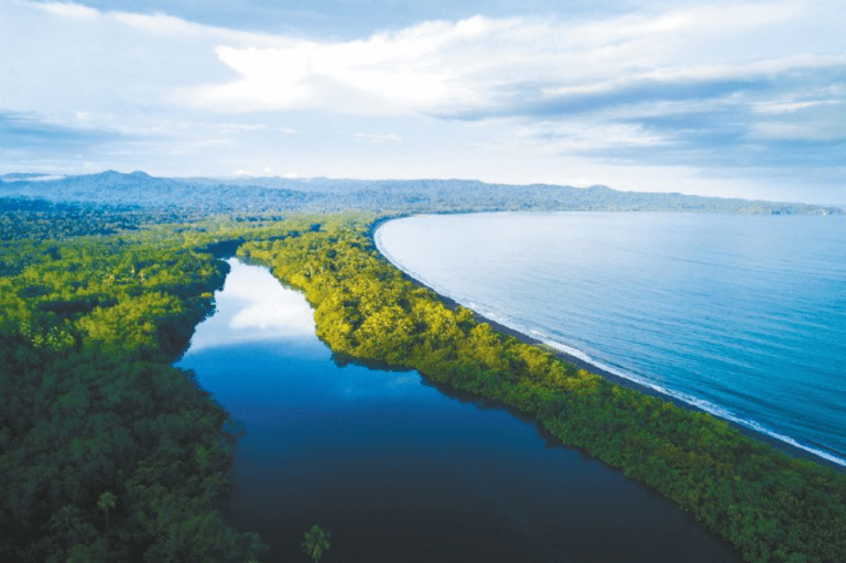 El Golfo de Tribugá y la protección de áreas marinas