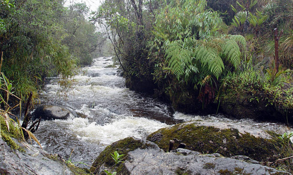 La contaminación del agua en mosquera y sus posibles soluciones