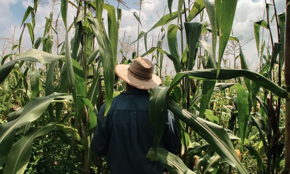 El Honor de ser Campesino