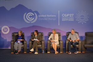 <strong>Logros y retos de la COP 27</strong>
