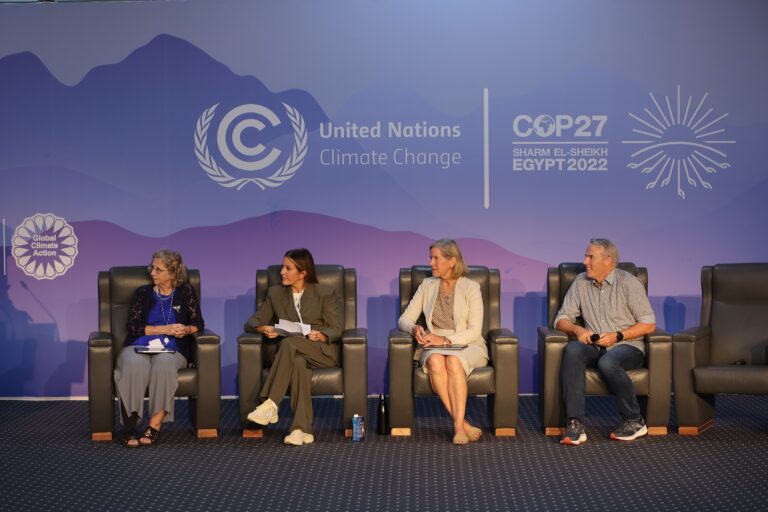 Lee más sobre el artículo <strong>Logros y retos de la COP 27</strong>